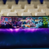 Pokemon Spacebar Keycaps Gengar, Mewtwo, Gyarados, Bulbasuar (9)