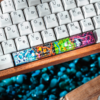 Pokemon Spacebar Keycaps Oshawott, Chimchar, Snover, Cubchoo (1)