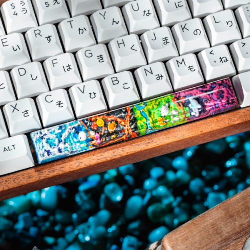 Pokemon Spacebar Keycaps Oshawott, Chimchar, Snover, Cubchoo (1)