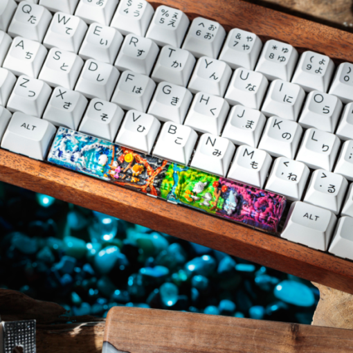 Pokemon Spacebar Keycaps Oshawott, Chimchar, Snover, Cubchoo (2)